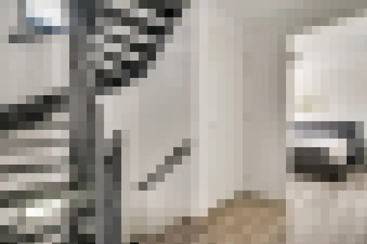 Hackenkamer 14 Maastricht thumbnail 17