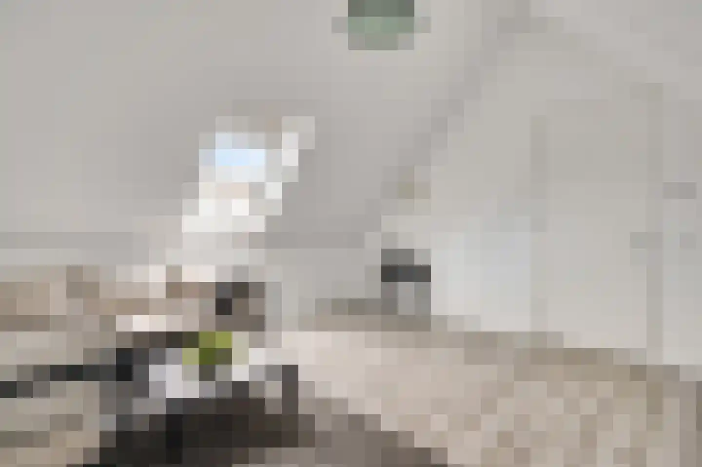 Hackenkamer 14 Maastricht thumbnail 20