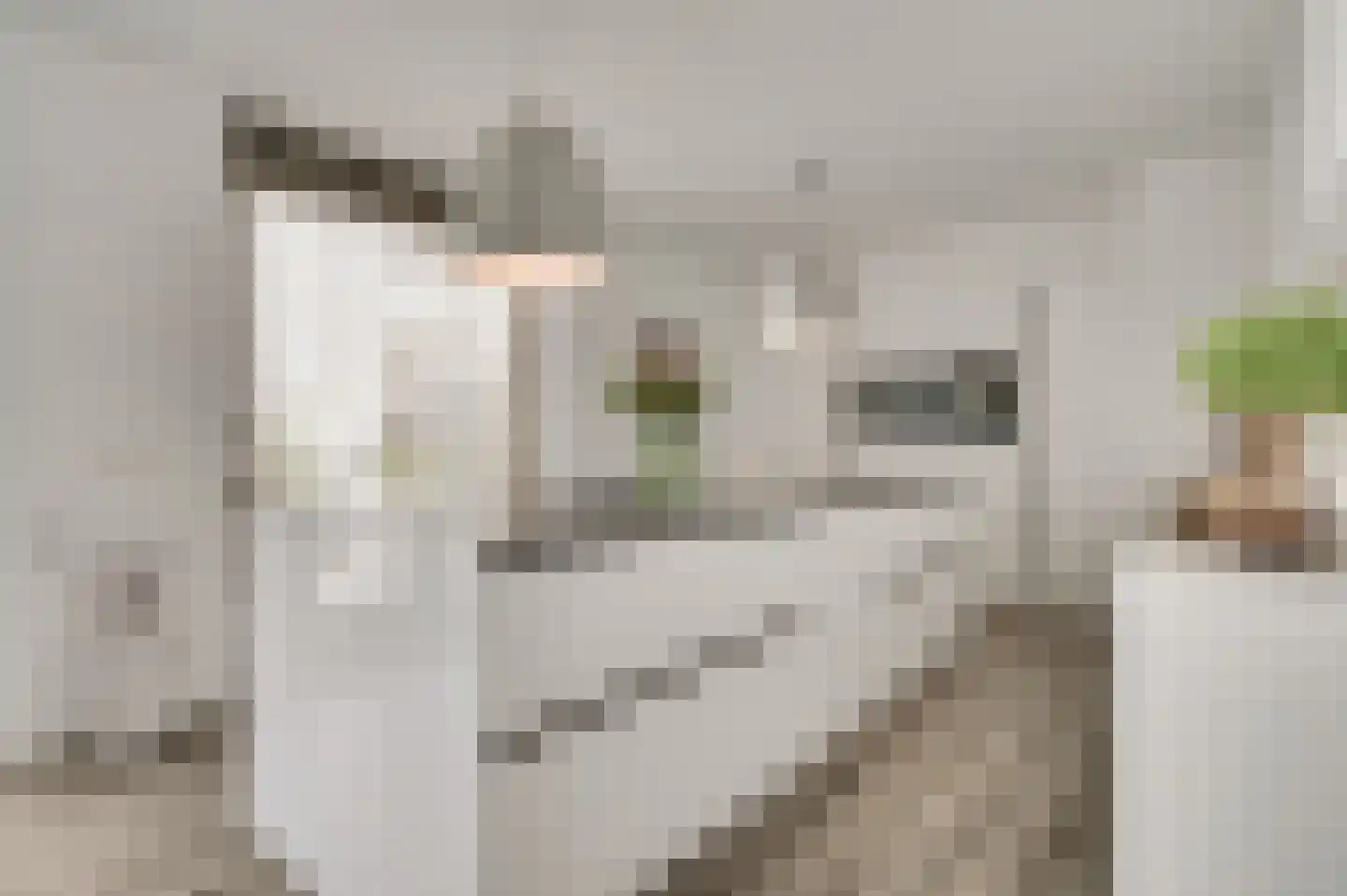 Hackenkamer 14 Maastricht thumbnail 7