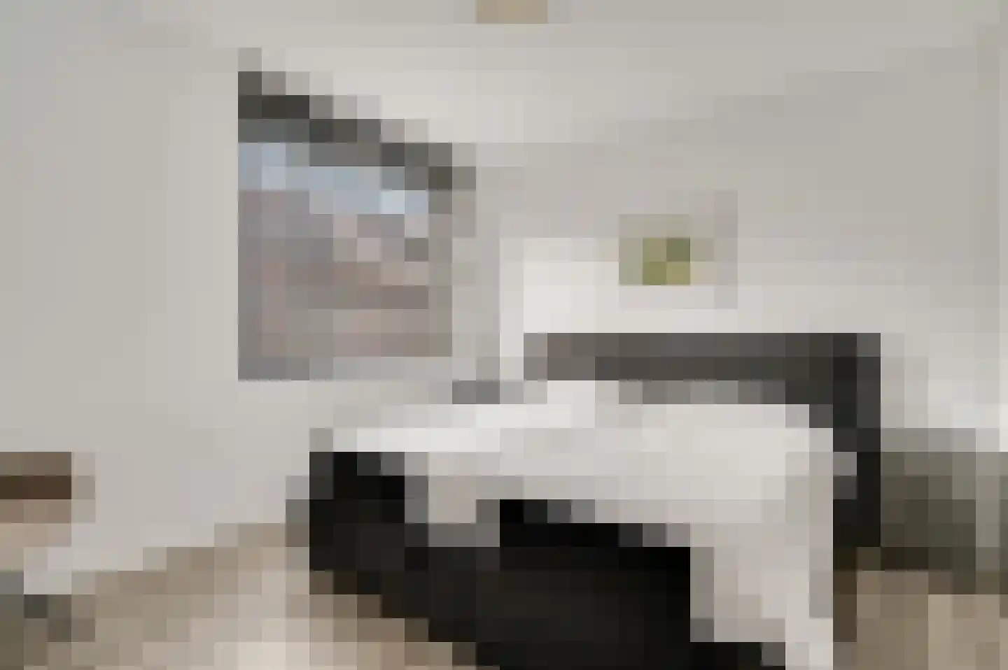 Hackenkamer 14 Maastricht thumbnail 9