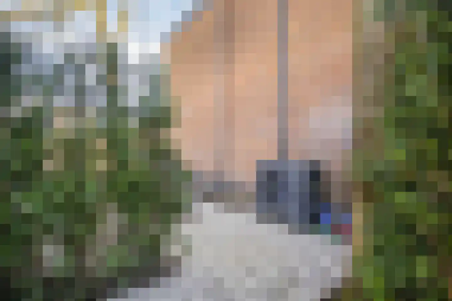 Hackettweg 1 Renkum thumbnail 36