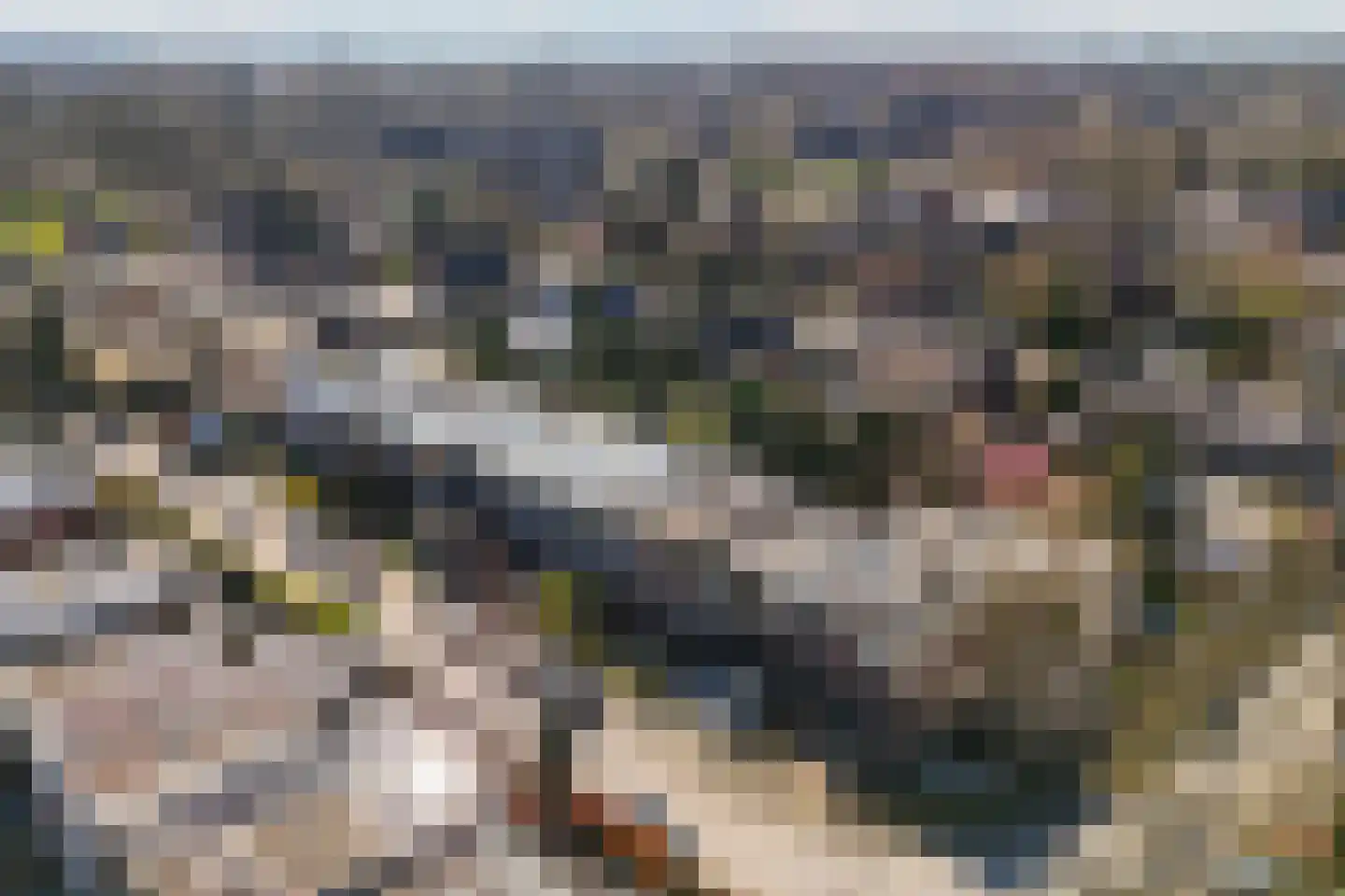 Hackettweg 1 Renkum thumbnail 41