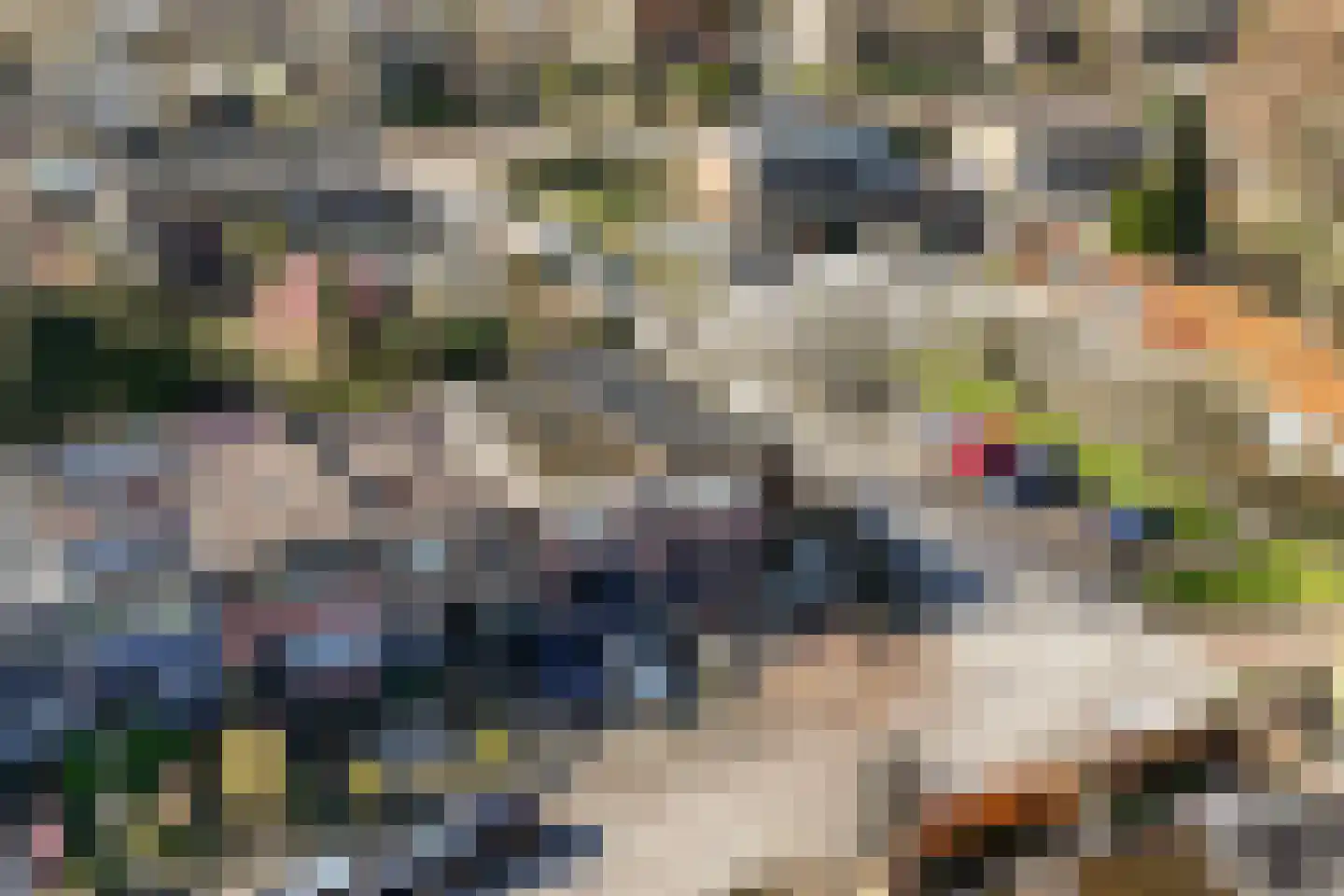 Hackettweg 1 Renkum thumbnail 46