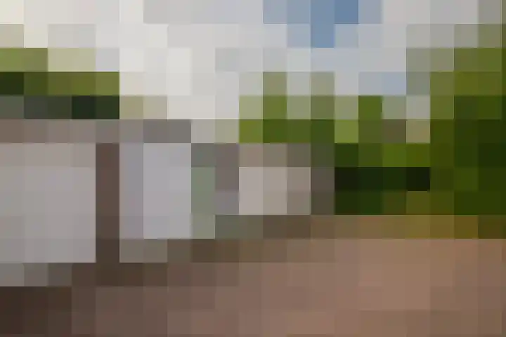 Hackettweg 25 Renkum thumbnail 31
