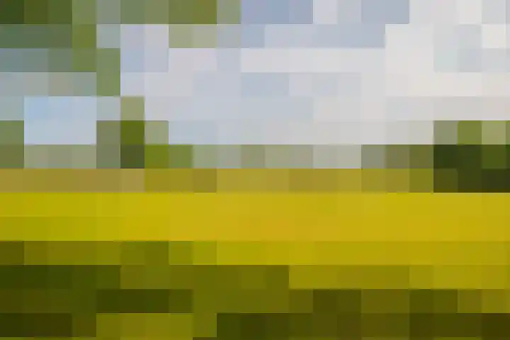 Hackettweg 25 Renkum thumbnail 33