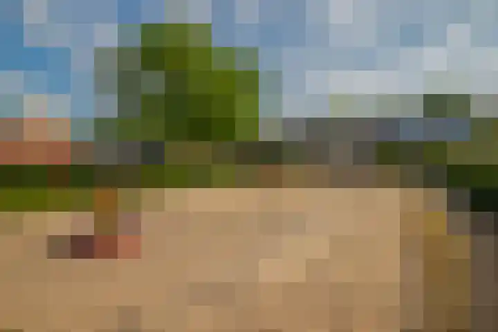 Hackettweg 25 Renkum thumbnail 34