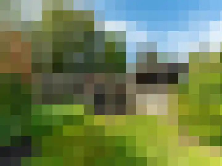Hackettweg 31 Renkum thumbnail 26