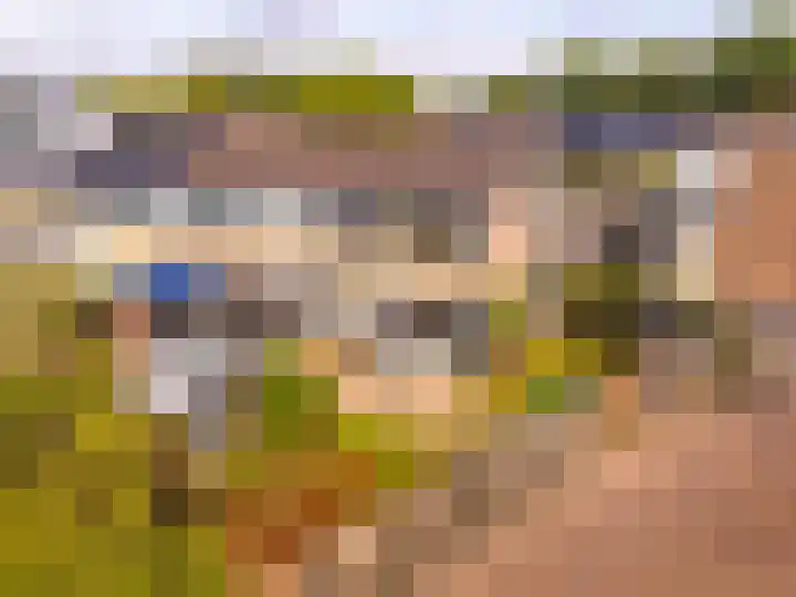 Hackettweg 31 Renkum thumbnail 30