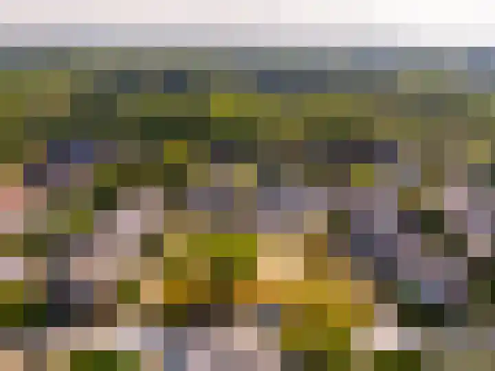 Hackettweg 31 Renkum thumbnail 32