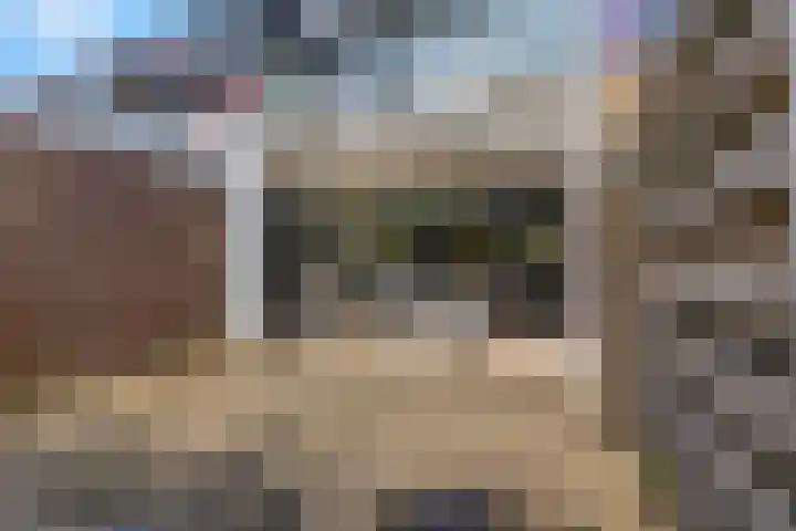 Hackettweg 39 Renkum thumbnail 37