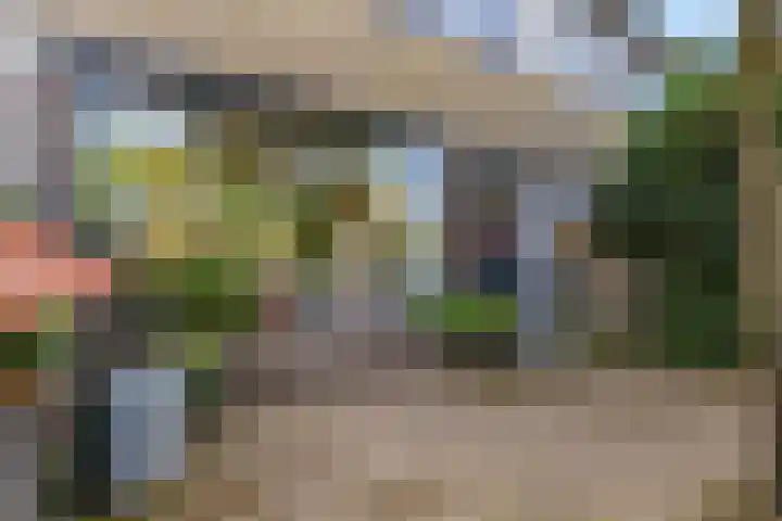 Hackettweg 39 Renkum thumbnail 42