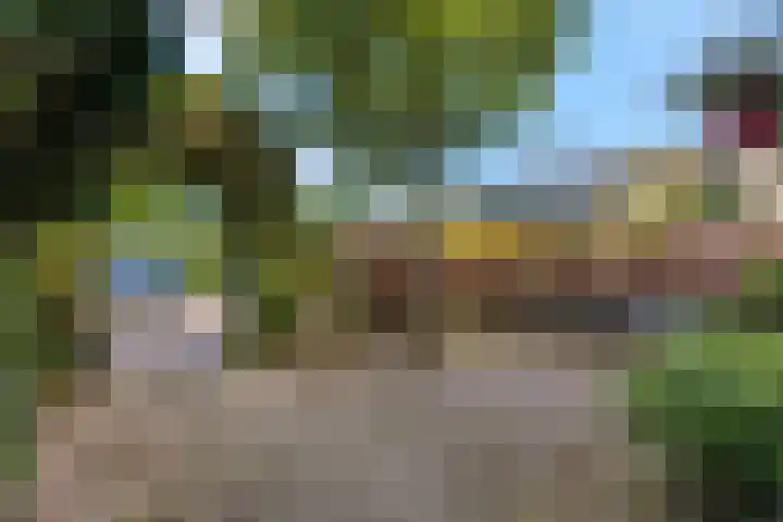 Hackettweg 39 Renkum thumbnail 43