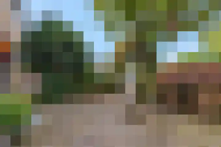 Hackettweg 39 Renkum thumbnail 44