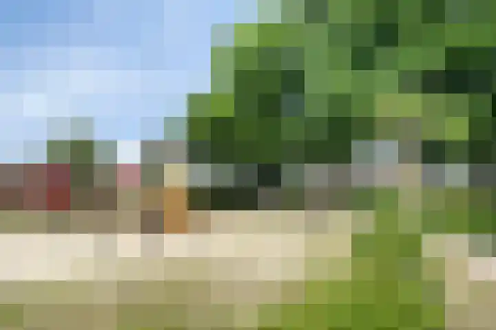 Hackfoirtstraat 34 Sevenum thumbnail 42