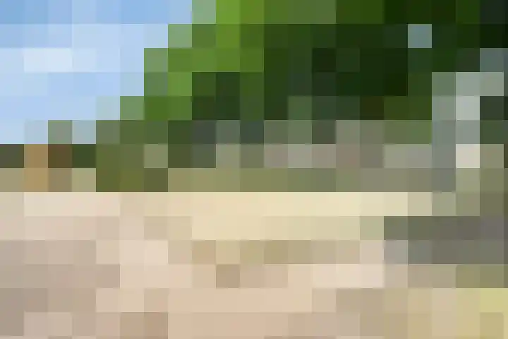 Hackfoirtstraat 34 Sevenum thumbnail 43