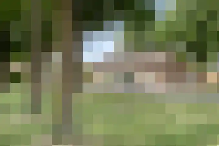 Hackfoirtstraat 34 Sevenum thumbnail 44