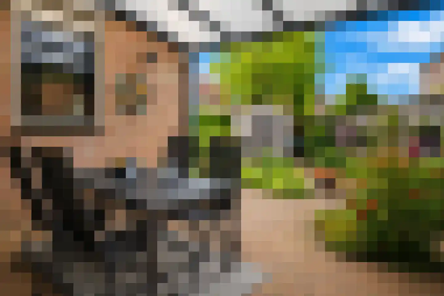 Hackfort 17 Almelo thumbnail 20