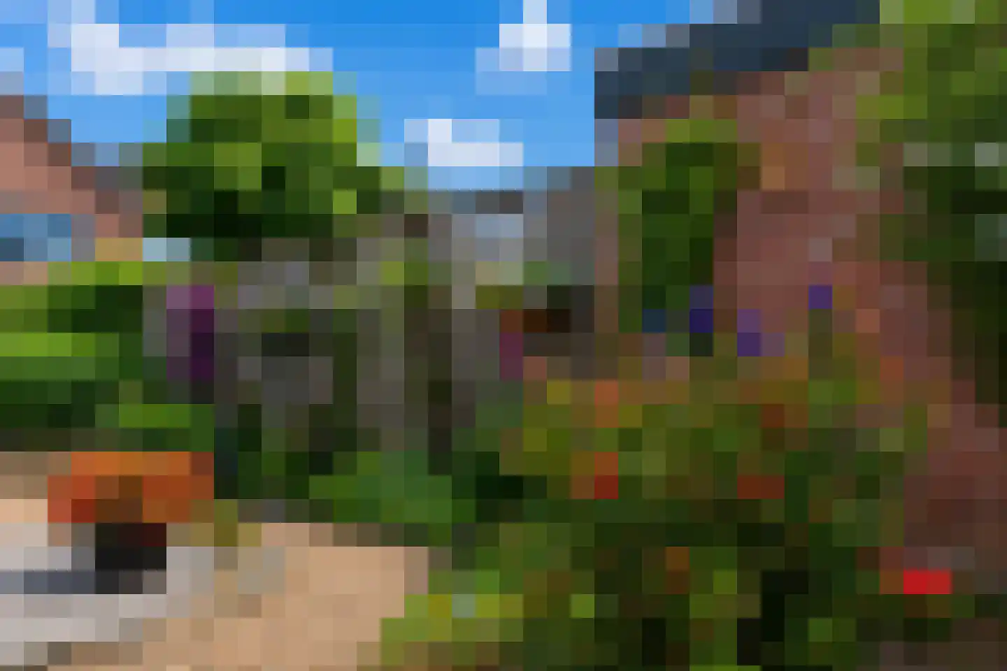 Hackfort 17 Almelo thumbnail 23