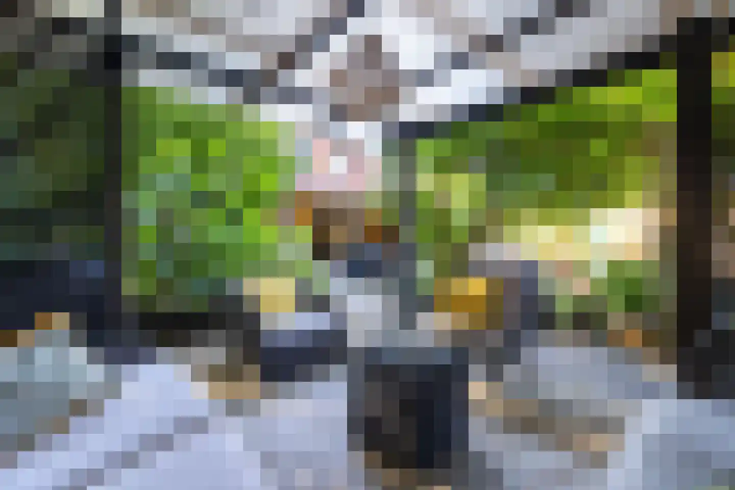 Hackfort 30 Doetinchem thumbnail 24