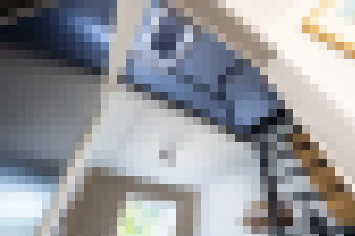 Hackfort 30 Doetinchem thumbnail 48