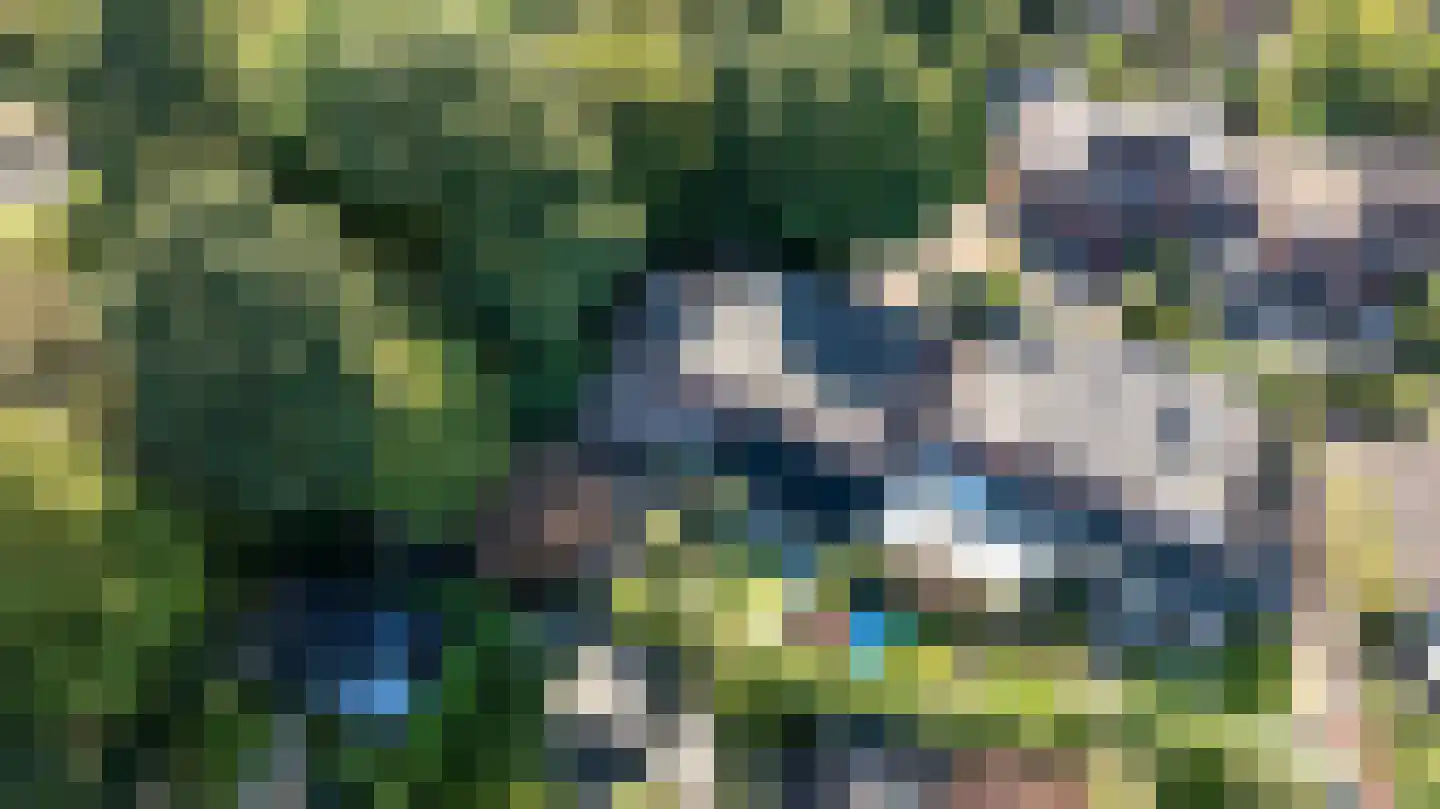 Hackfort 30 Doetinchem thumbnail 63