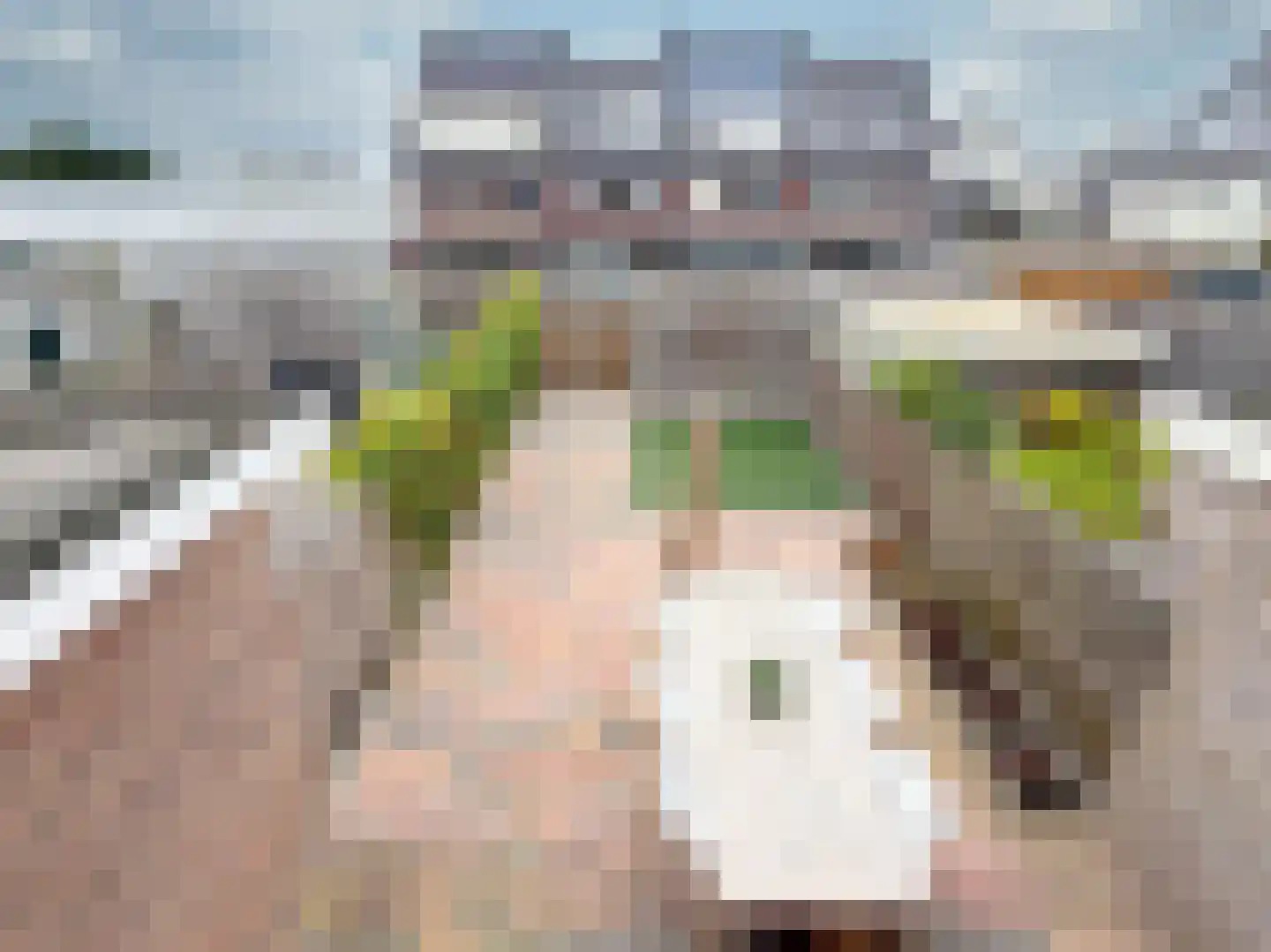 Hackfort 4 Amstelveen thumbnail 15