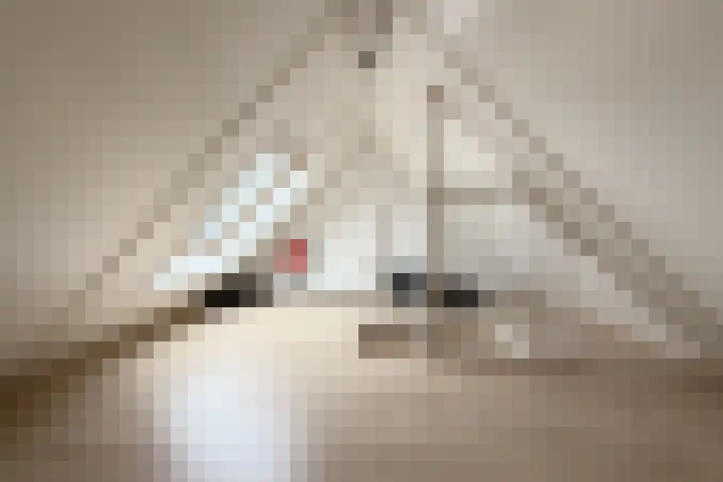 Hackfort 4 Amstelveen thumbnail 21