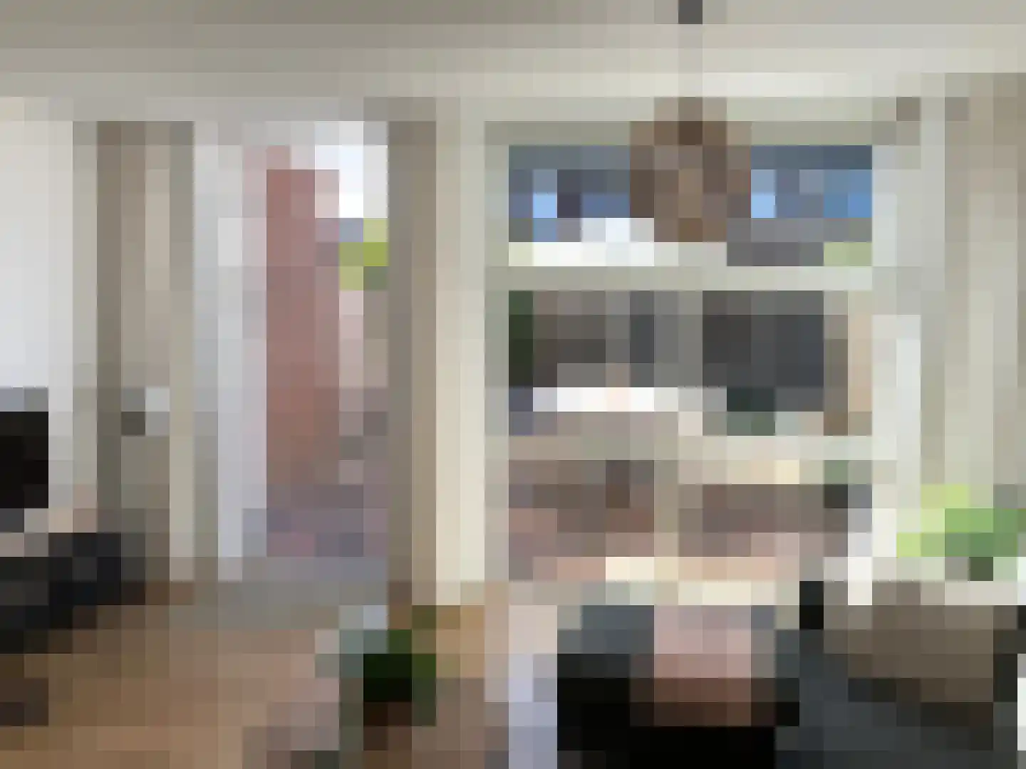 Hackfort 4 Amstelveen thumbnail 24
