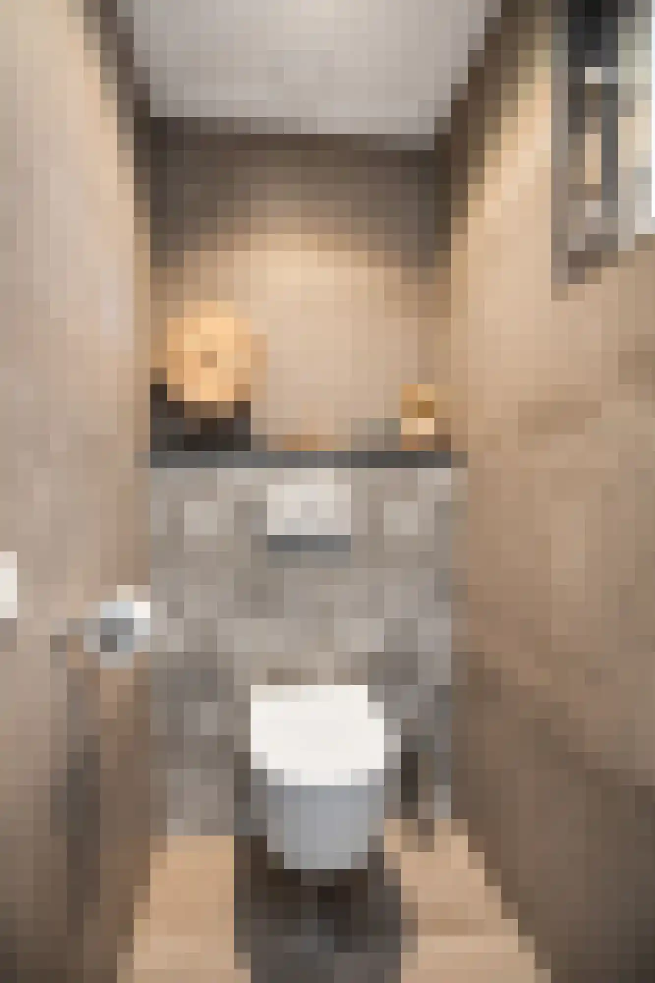 Hackfortallee 15 Duiven thumbnail 13