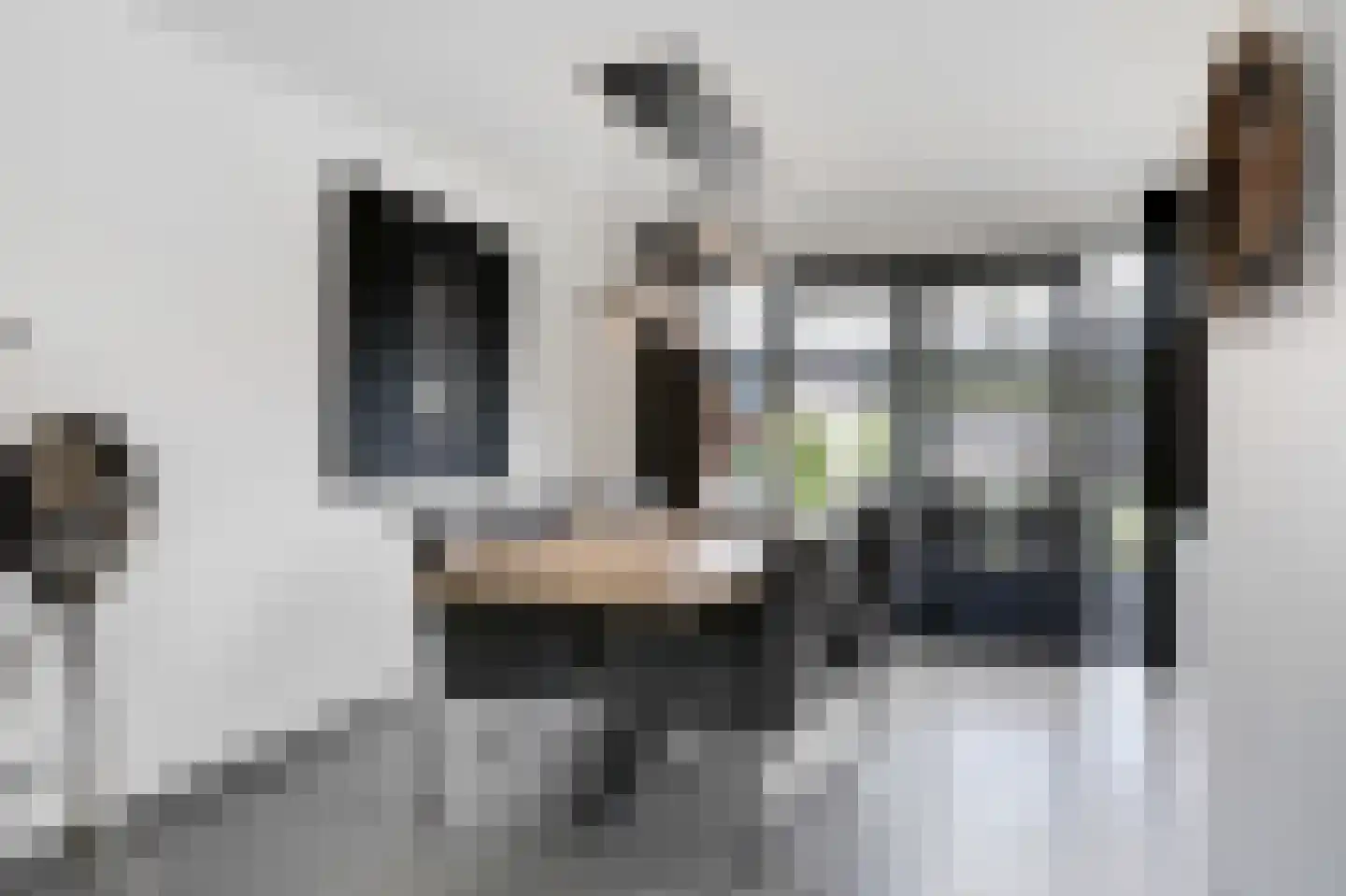 Hackfortallee 15 Duiven thumbnail 18