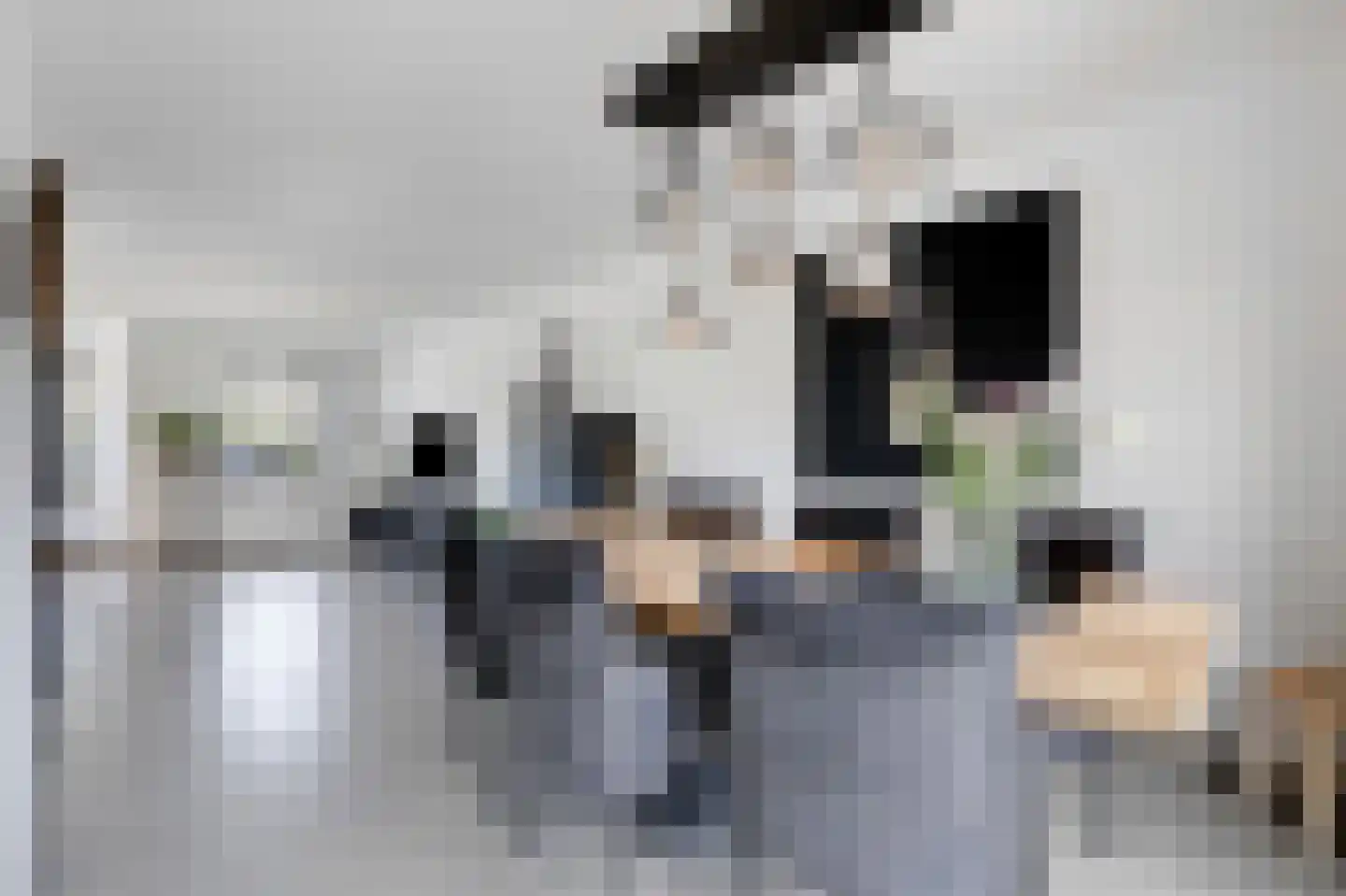 Hackfortallee 15 Duiven thumbnail 19