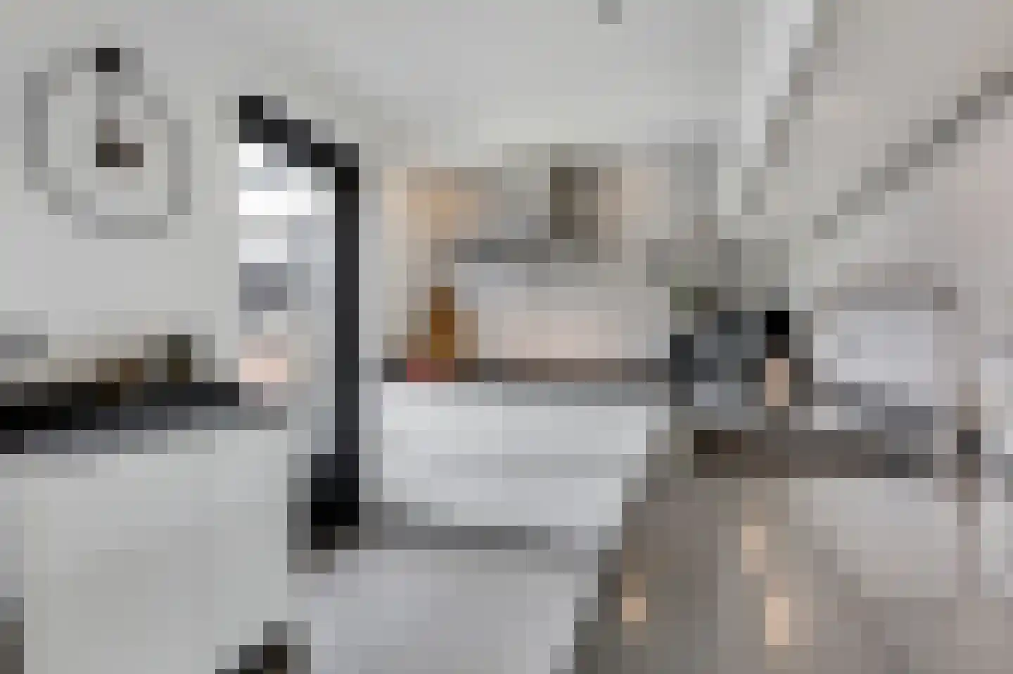 Hackfortallee 15 Duiven thumbnail 23