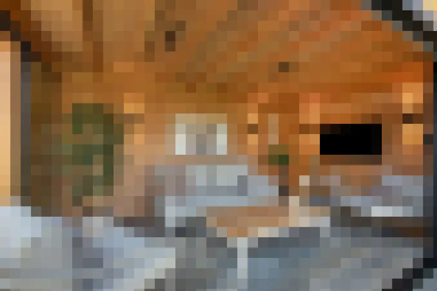 Hackfortallee 15 Duiven thumbnail 37