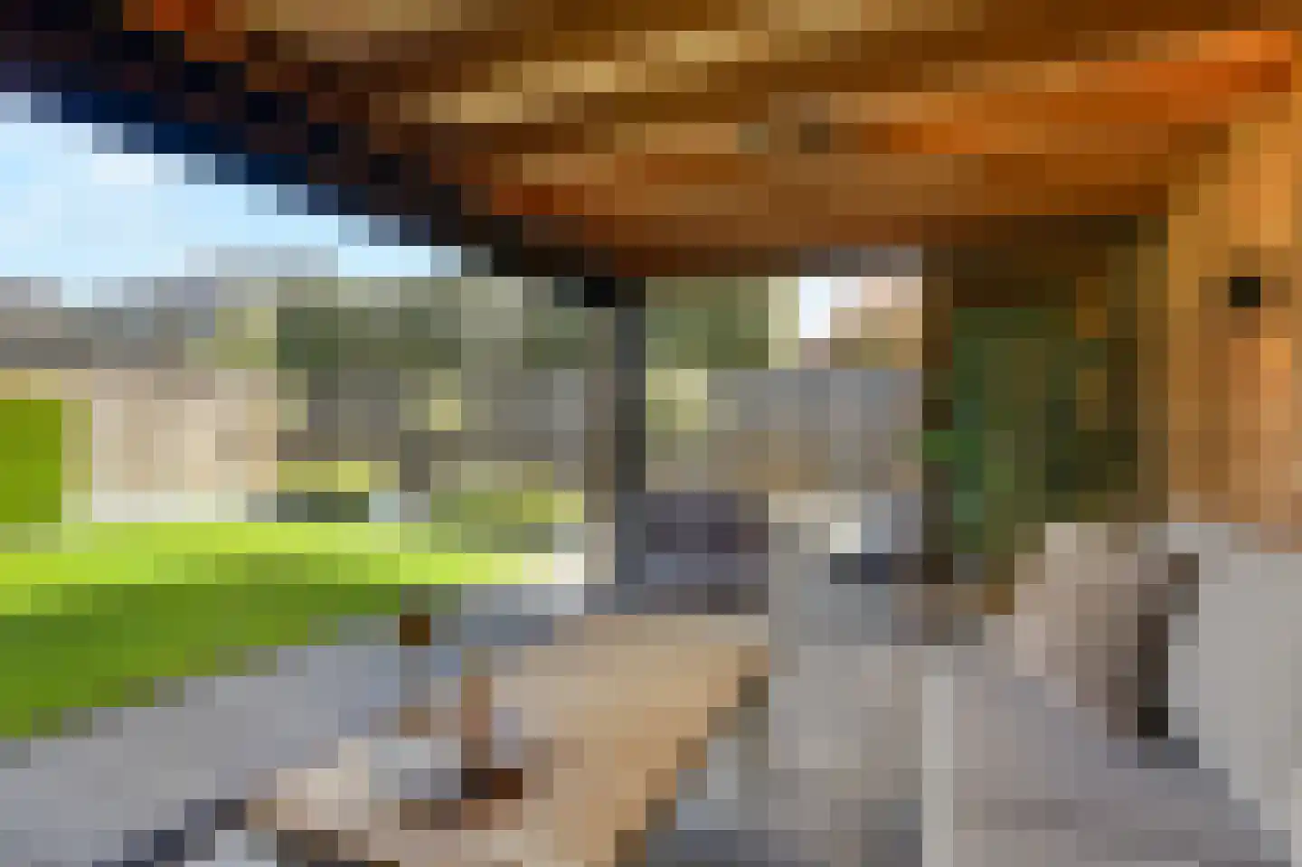 Hackfortallee 15 Duiven thumbnail 39