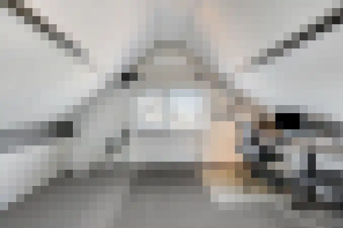 Hackfortallee 15 Duiven thumbnail 54