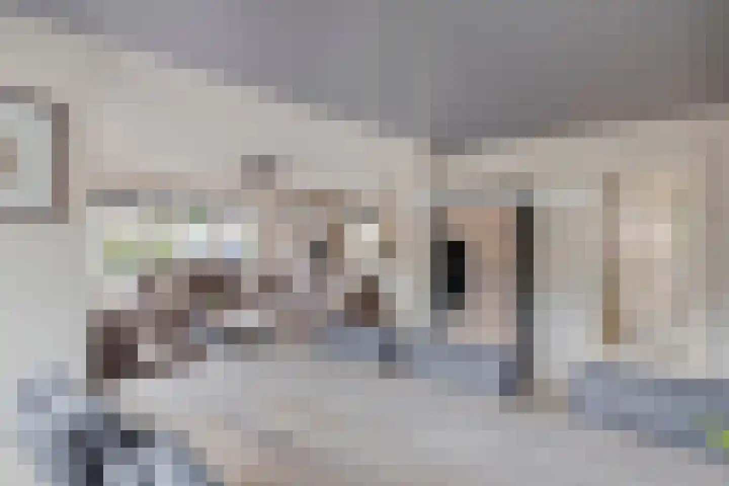 Hackfortallee 17 Duiven thumbnail 15