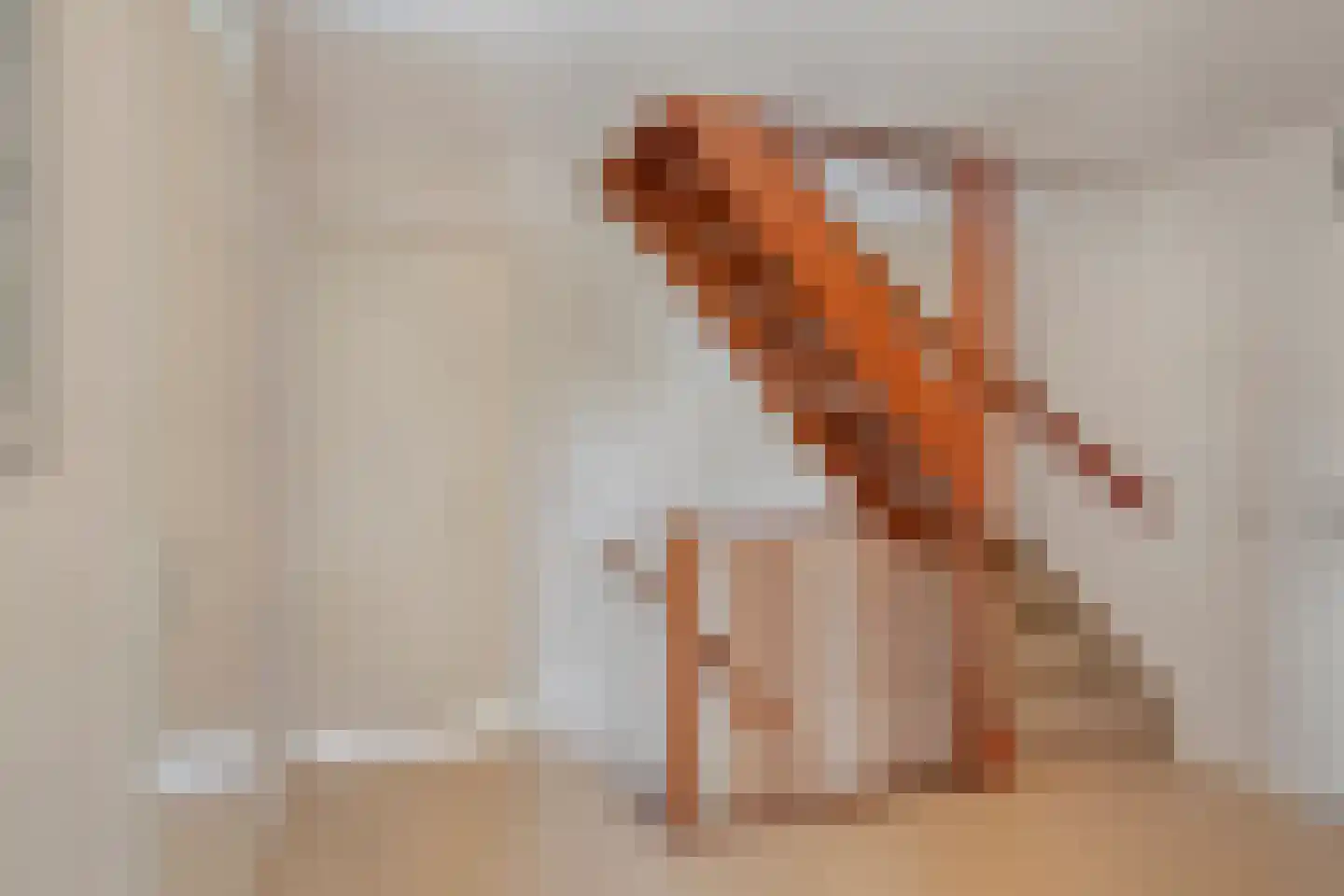 Hackfortallee 17 Duiven thumbnail 22