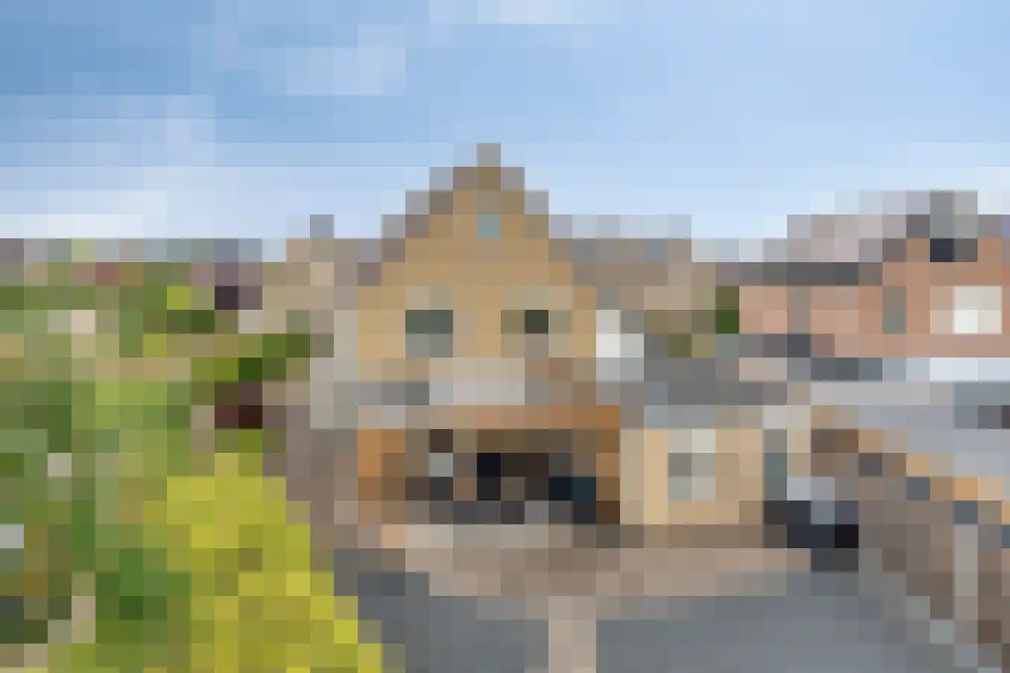 Hackfortallee 17 Duiven thumbnail 42