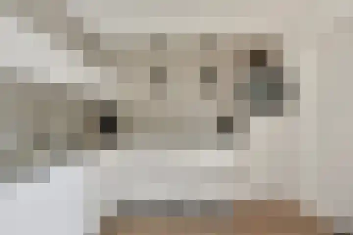 Hackfortallee 20 Duiven thumbnail 16