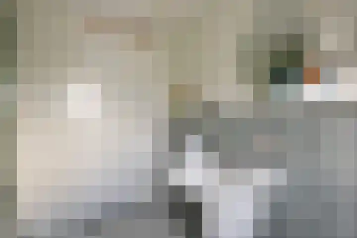 Hackfortallee 20 Duiven thumbnail 26