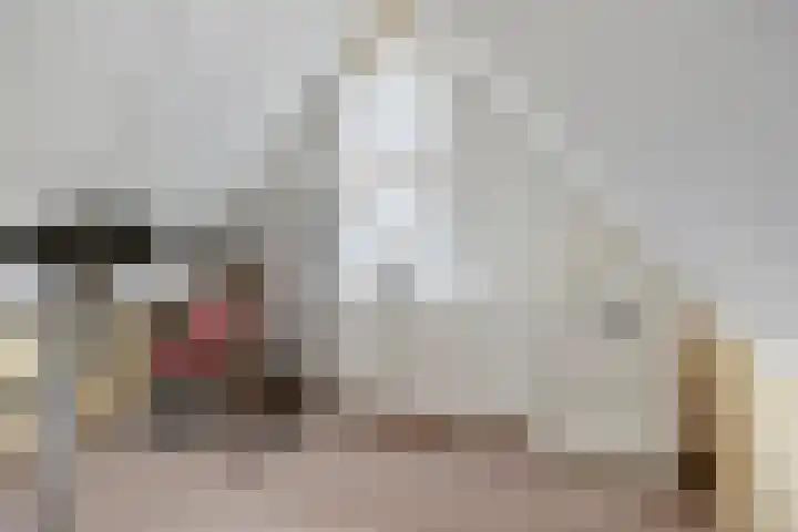 Hackfortallee 20 Duiven thumbnail 35
