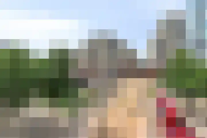 Hackfortallee 20 Duiven thumbnail 36