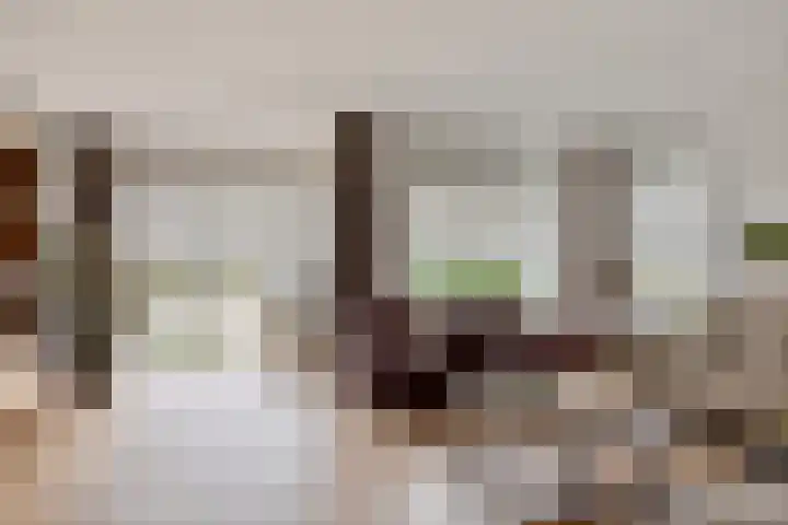 Hackfortallee 20 Duiven thumbnail 4