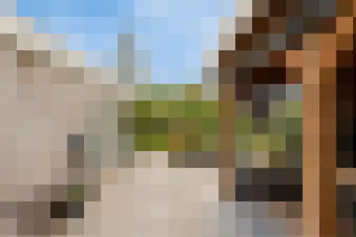 Hackfortallee 20 Duiven thumbnail 41
