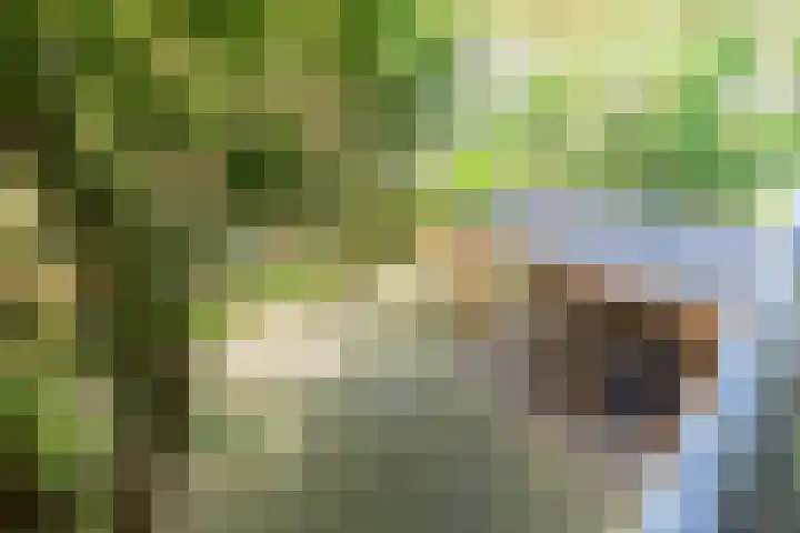 Hackfortallee 20 Duiven thumbnail 46