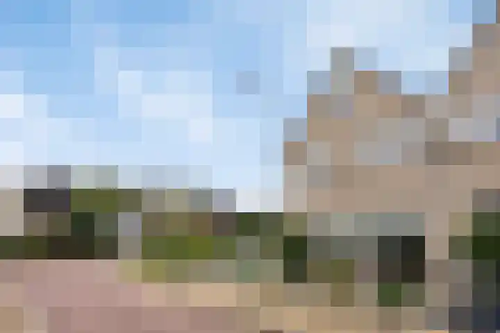 Hackfortallee 20 Duiven thumbnail 58