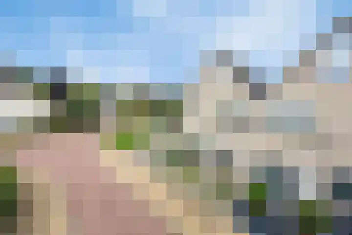 Hackfortallee 20 Duiven thumbnail 60