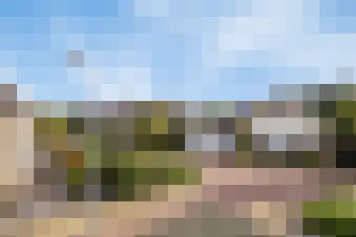 Hackfortallee 20 Duiven thumbnail 61