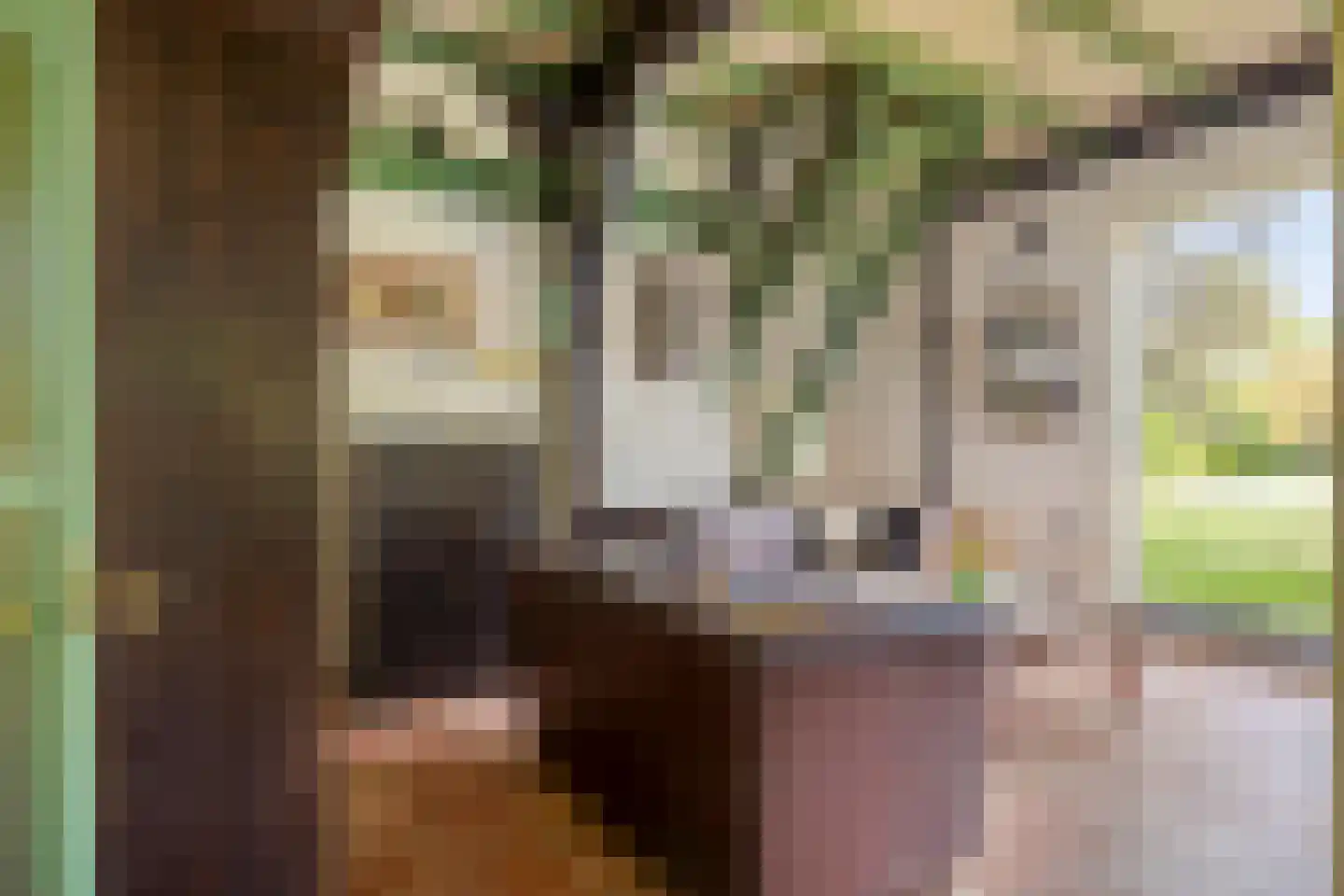 Hackforterweg 3 Wichmond thumbnail 11