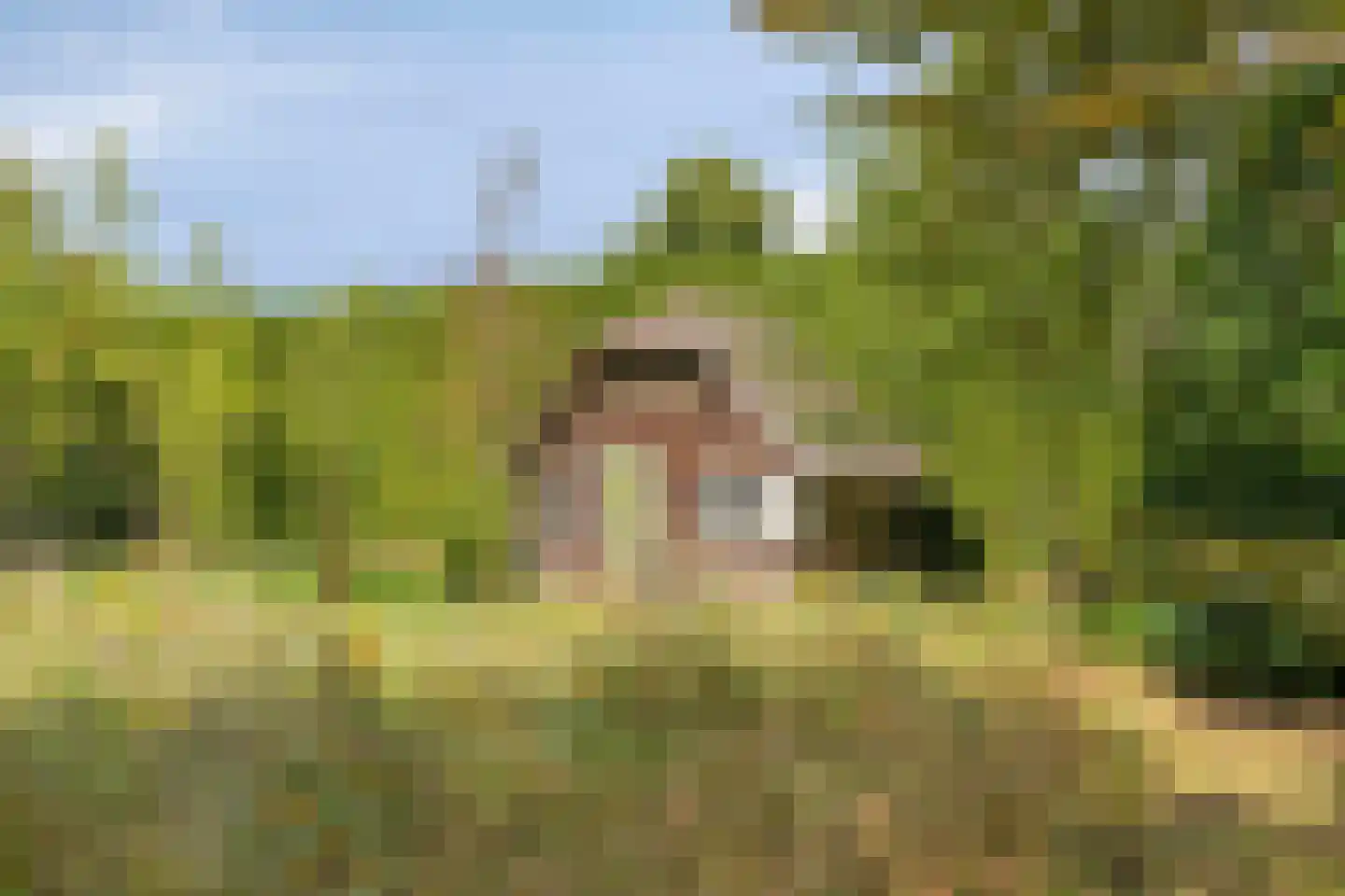Hackforterweg 3 Wichmond thumbnail 41